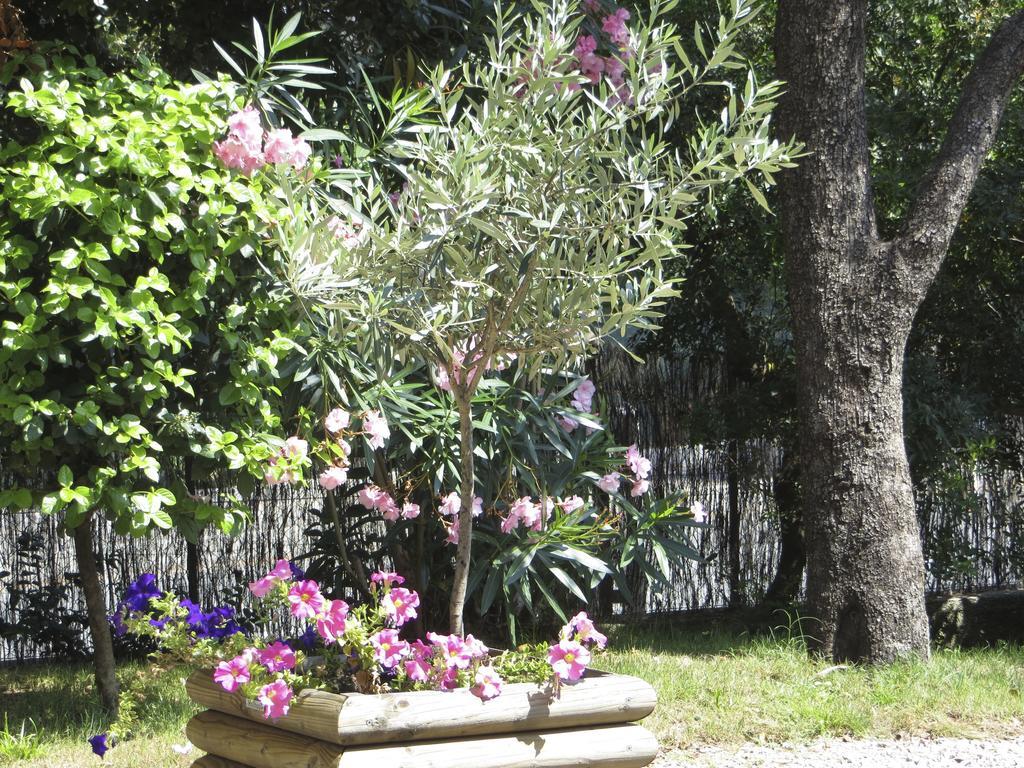Appartement Dans Villa St Raphael Saint-Raphaël Oda fotoğraf