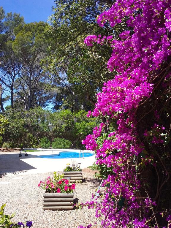Appartement Dans Villa St Raphael Saint-Raphaël Dış mekan fotoğraf